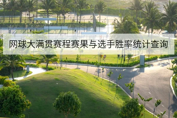 网球大满贯赛程赛果与选手胜率统计查询